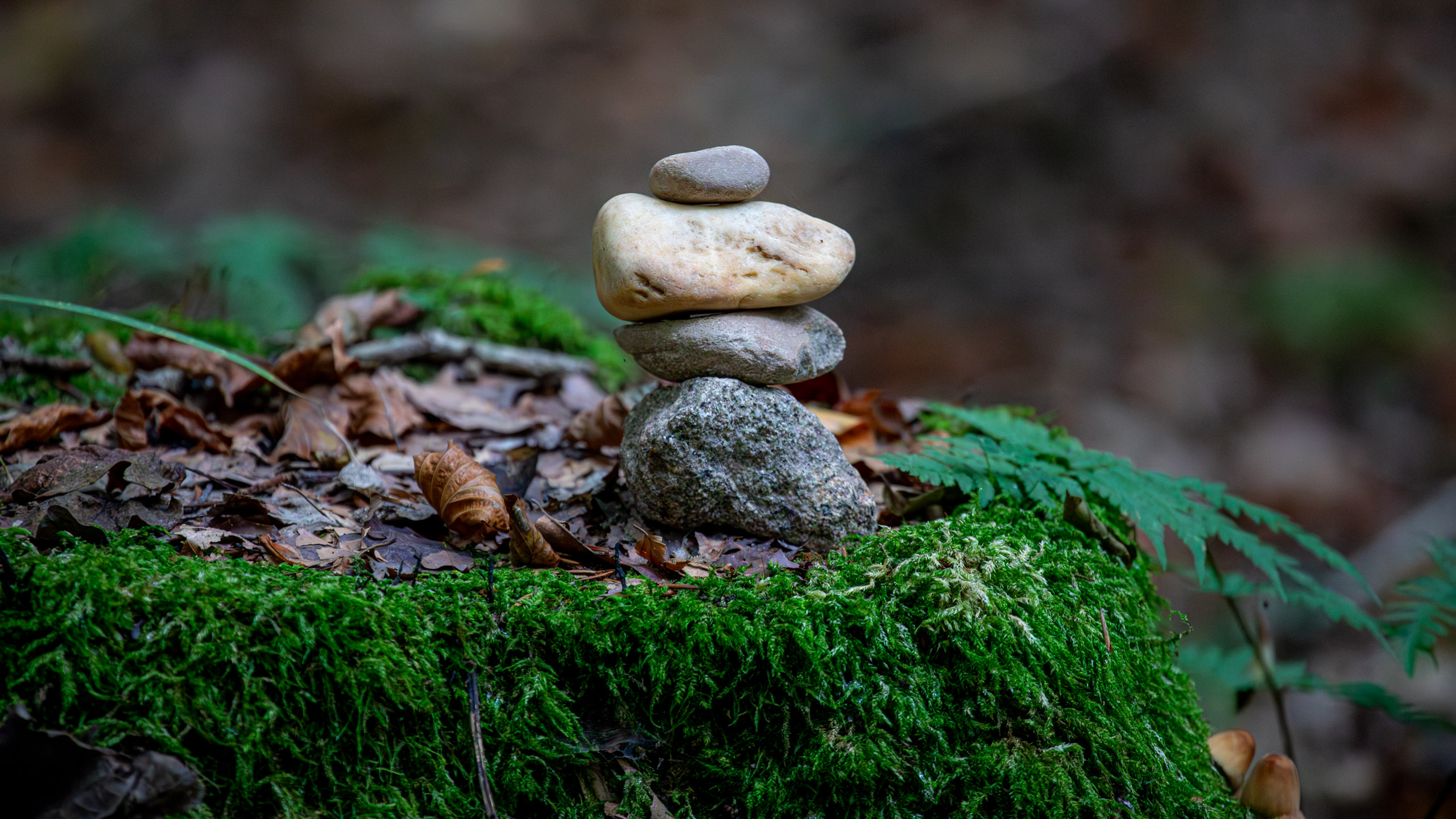 20231014102301 RD4 4675 e